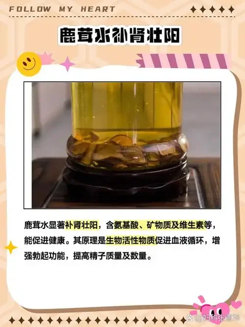 家庭自制鹿茸泡酒成品展示，金黄酒液中可见鹿茸切片与枸杞，器具古朴专业。_1