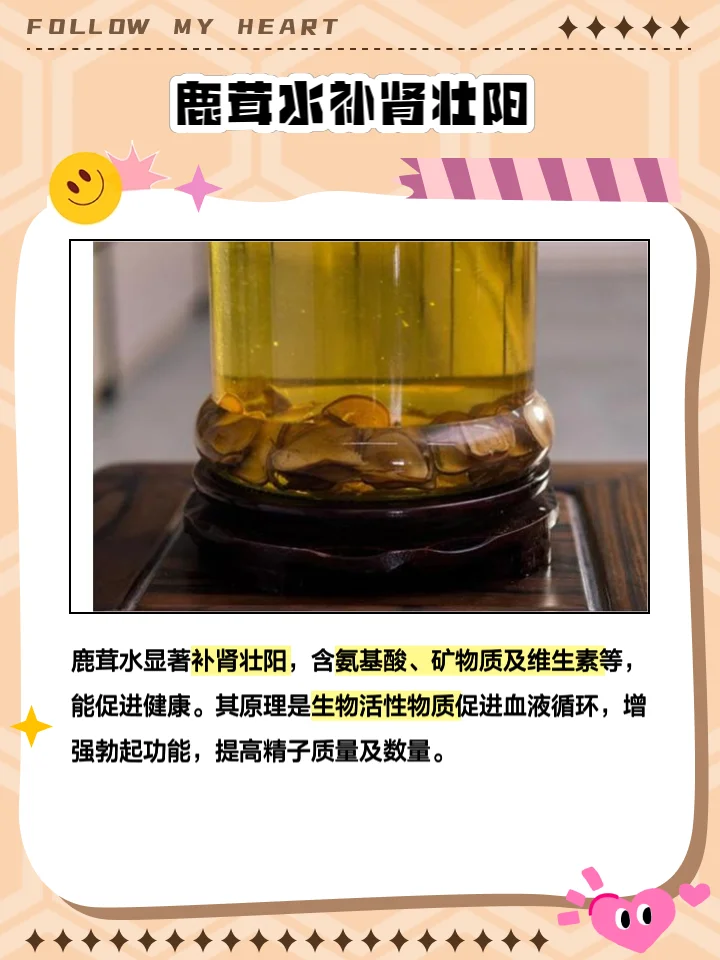 鹿茸玛卡泡酒过程特写：玻璃瓶中浸泡着切片鹿茸和玛卡，旁边散落着备用原料_1