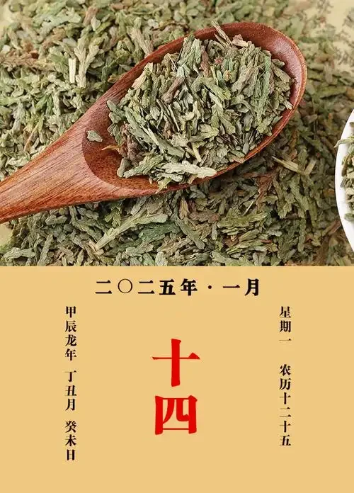 侧柏叶泡酒过程展示：玻璃罐中新鲜侧柏叶与白酒的浸泡状态_1