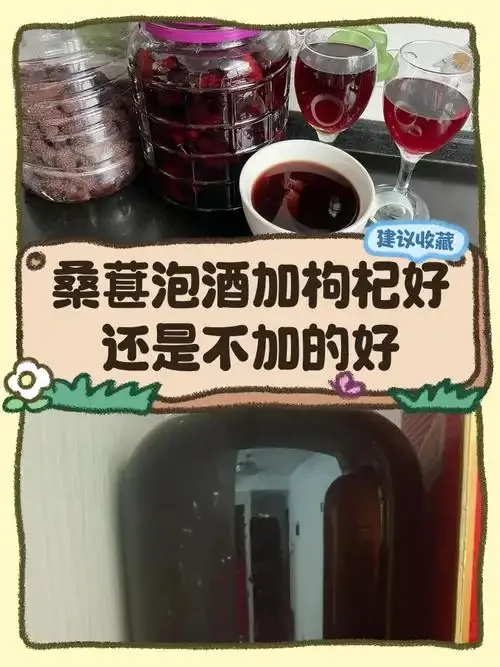 正在浸泡中的枸杞桑葚酒特写，紫红色酒液中枸杞与桑葚清晰可见_1