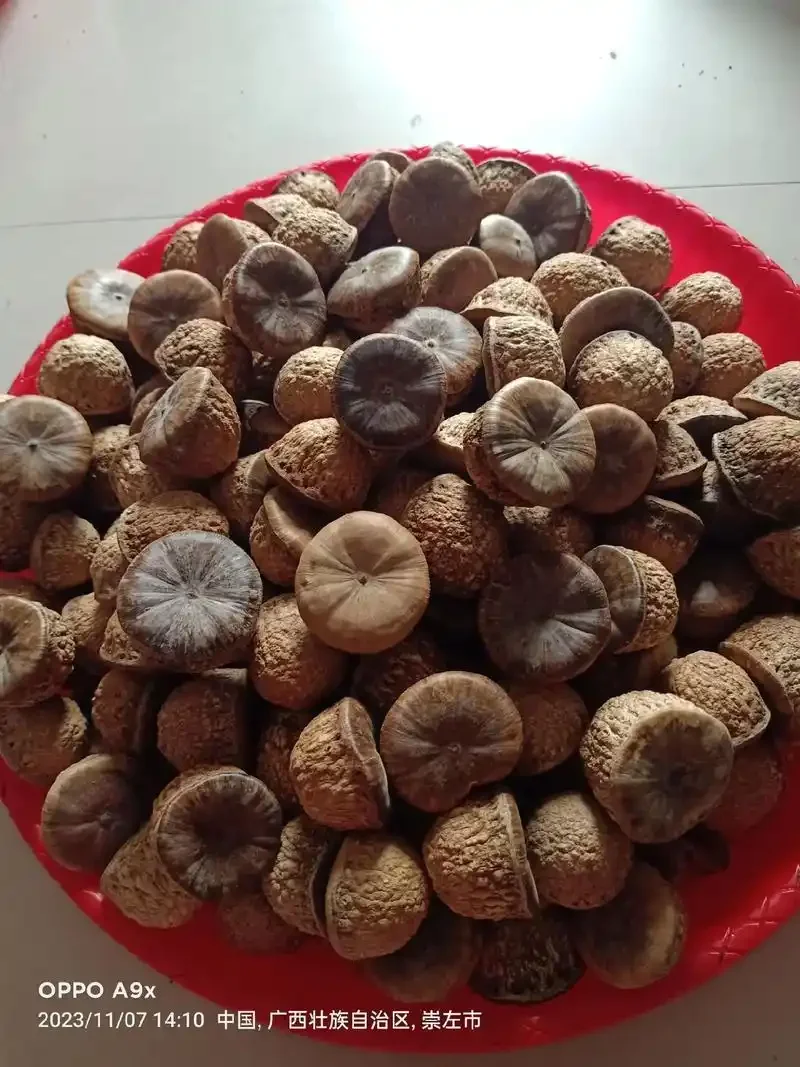 泡酒罐中的风流果与鹿茸切片在酒液中清晰可见，展示家庭泡制药酒的原料状态_1