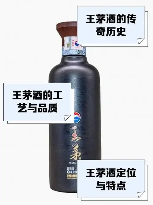 用于品鉴的古朴封坛老酒与白瓷杯特写，展示陈年酒液的色泽与质感。_1