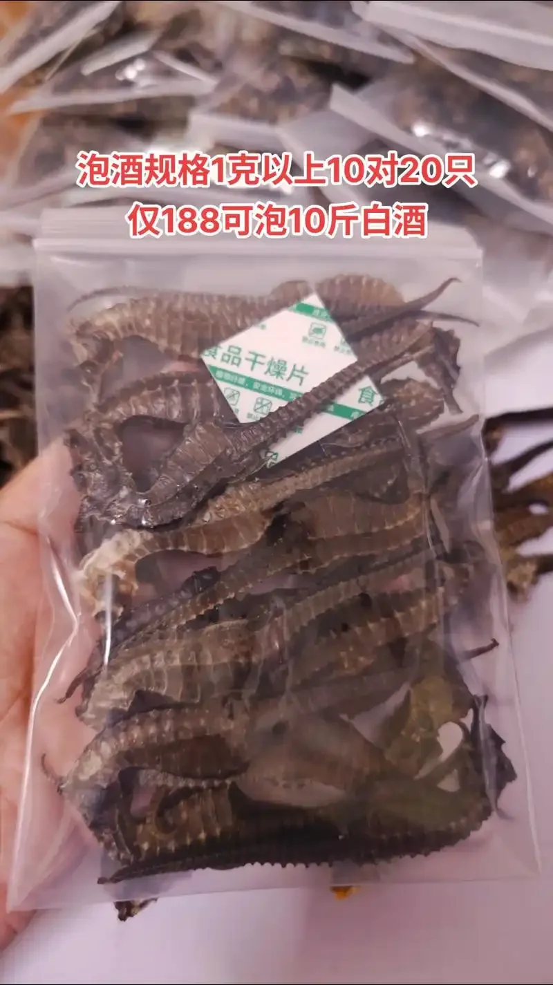 酿酒师在酒坊中观察海马泡酒的色泽与澄清度_1