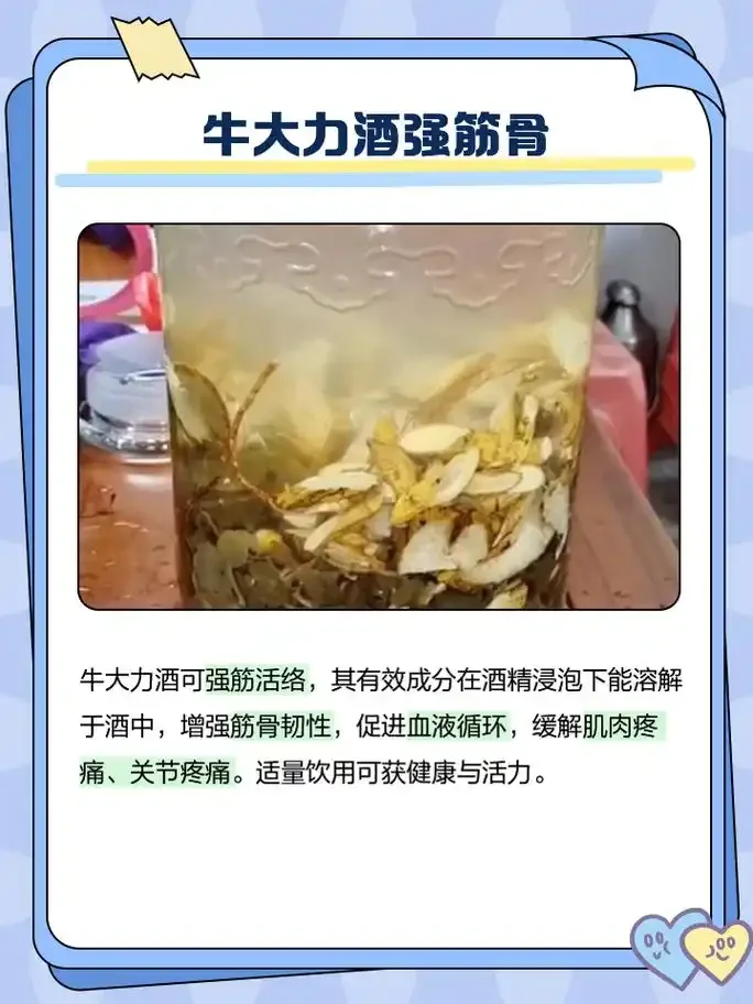 牛大力泡酒最佳配方成品展示：玻璃罐中金黄色的酒液浸泡着牛大力切片、红枣和枸杞。_1